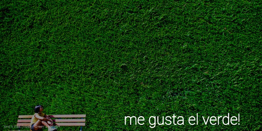 jardín vertical jardín vertical veriflor