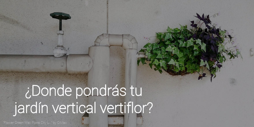 decorar pared con jardín vertical jardín vertical vertiflor