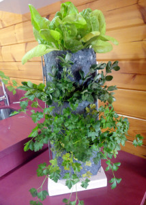 jardiner vertical sobremesa