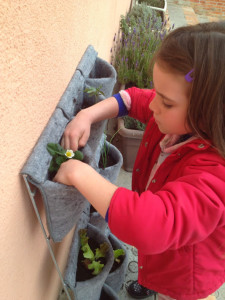 huerto educativo