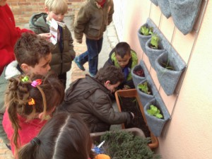 huerto escolar