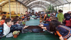 plantas y tierra