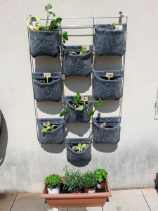 hort vertical vertiflor