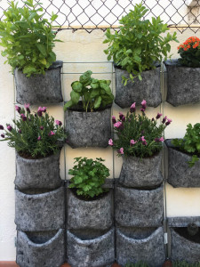hort vertical