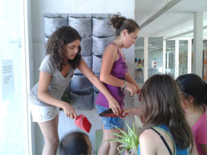 jardin vertiflor Ins el Molrell