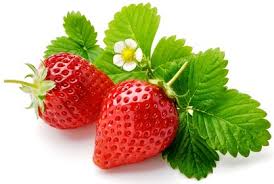 fresas fresas