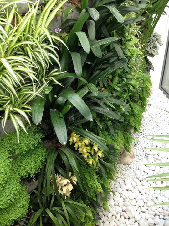 Jardinería vertical Jardinería vertical