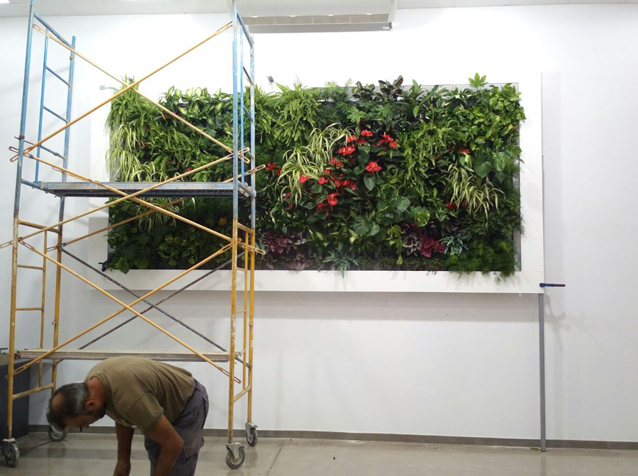 plantas jardín vertical plantas jardín vertical