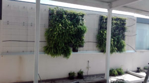 instalar jardines verticales