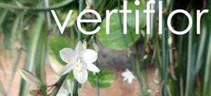 jardines verticales vertiflor