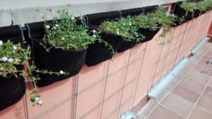 sistema modular de jardinería vertical