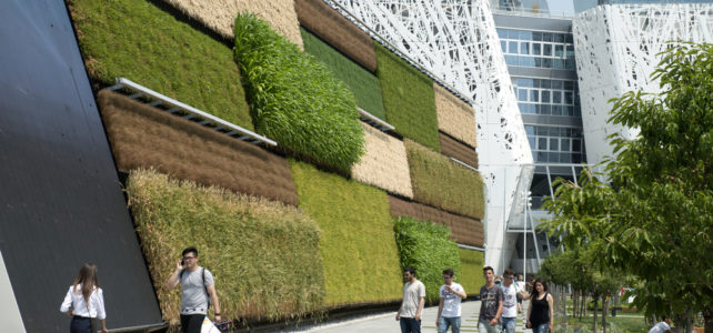 Ahorro energético: los beneficios de un jardín vertical jardín vertical y ahorro energetico