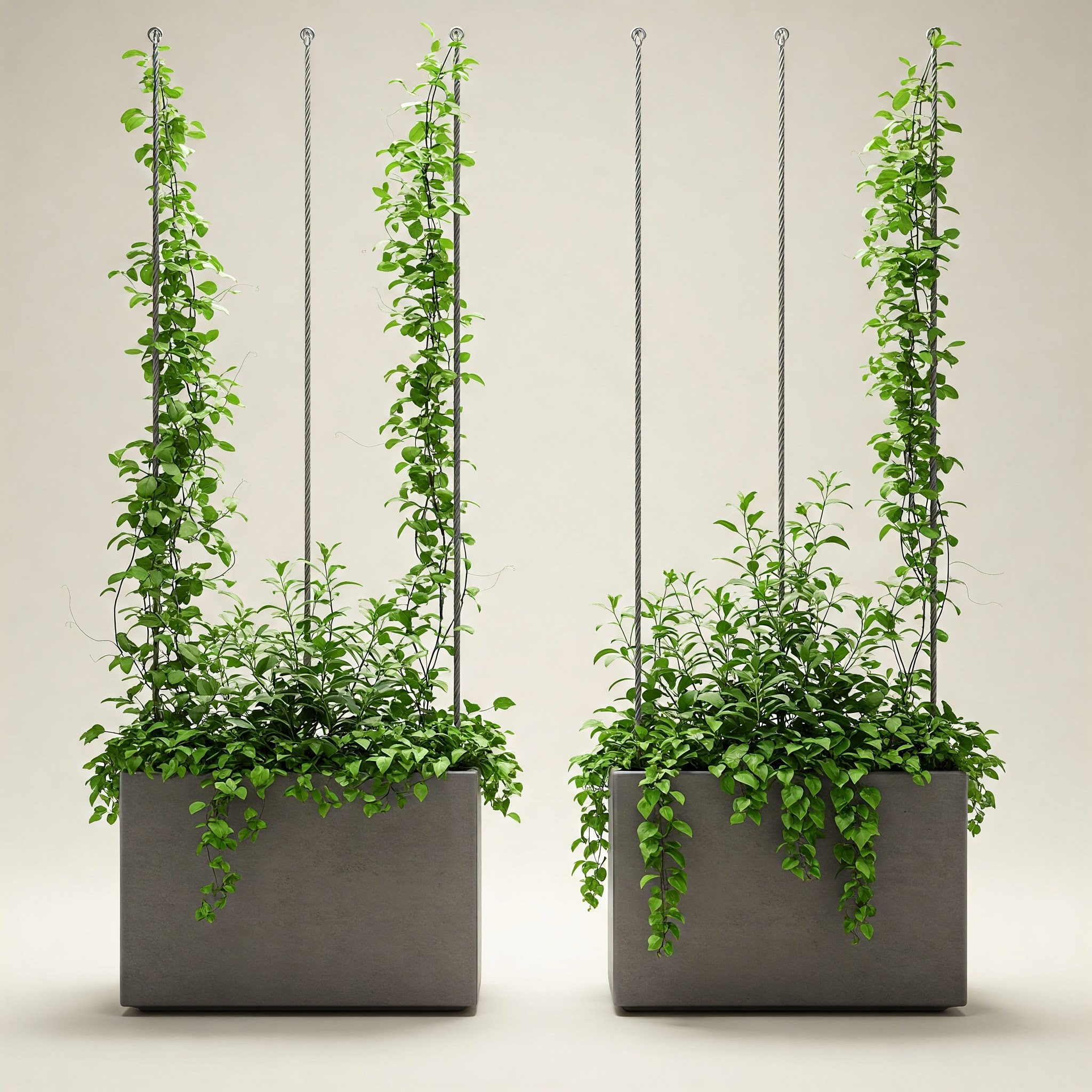 Green Cable - Imagen 7