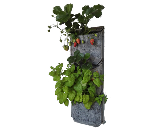 Kit huerto vertical 3 plantas - Imagen 2