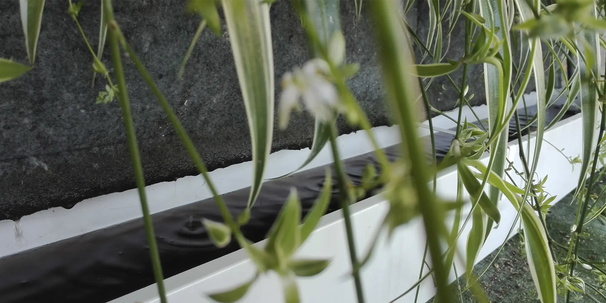 riego-jardin-vertical-v20h