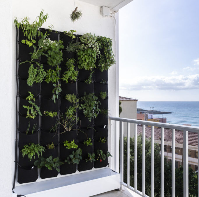 Hort vertical. Tarragona