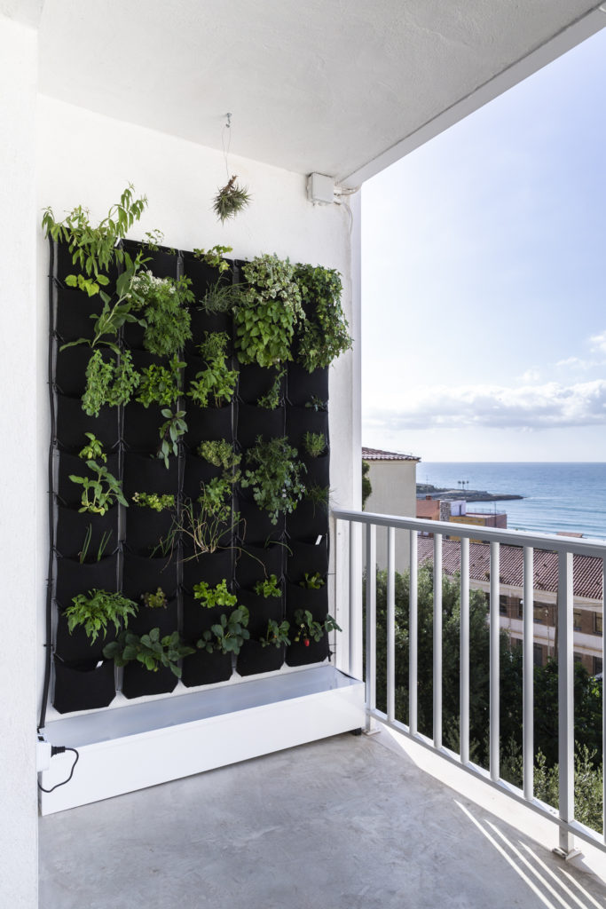 Vertiflor-1-683×1024