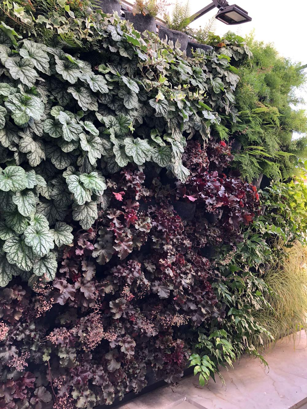 jardin-vertical-Madrid-1