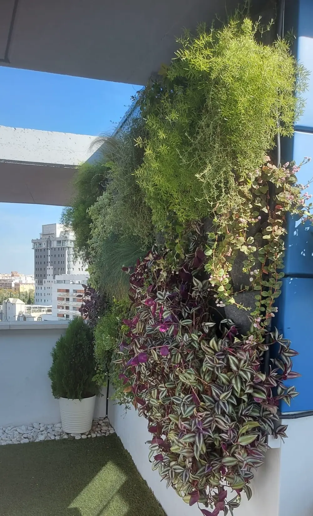 jardin-vertical-atico-vertiflor