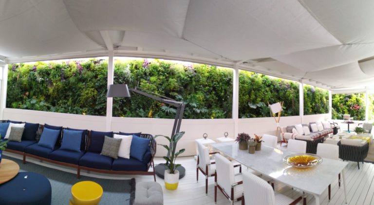 Cuadro vegetal, tienda Marbella