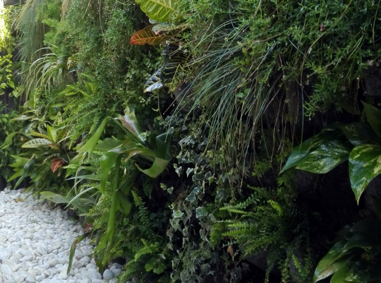 Spa interior con jardín vertical