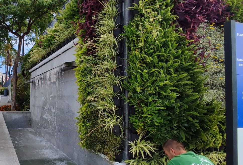 Jardín vertical en Marbella